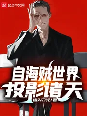 《自海贼世界投影诸天》封面