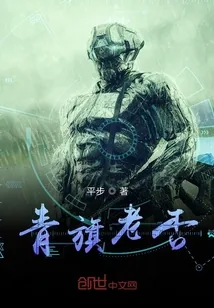 《青旗老否》封面