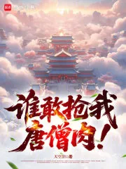 《谁敢抢我唐僧肉！》封面