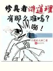 《修真者讲道理有那么难吗？》小说封面
