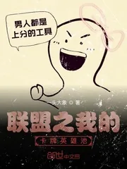 《联盟之我的卡牌英雄池》封面