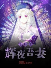 《木叶之辉夜吾妻》封面