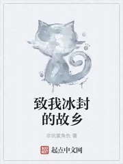 《致我冰封的故乡》封面