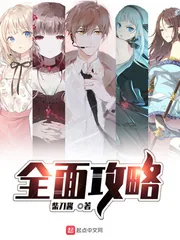 《全面攻略》小说封面