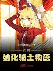 《我的娘化骑士物语》封面