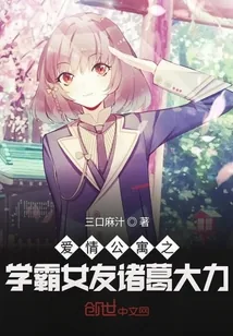 《爱情公寓之学霸女友诸葛大力》封面