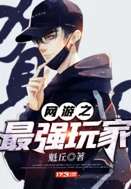 《网游之最强玩家》封面