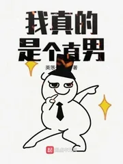 《我真的是个直男》小说封面