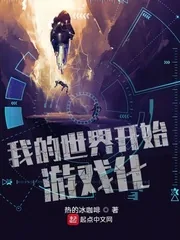 《我的世界开始游戏化》封面