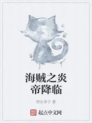 《海贼之炎帝降临》封面