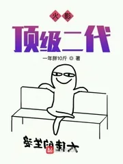 《木叶之顶级二代》封面