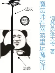 《魔法师在网游里玩魔法师》封面