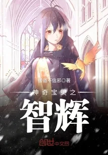 《神奇宝贝之智辉》封面