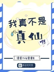 《我真不是真仙啊》封面