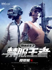 《绝地求生之禁服王者》封面