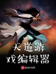 《天道游戏编辑器》封面