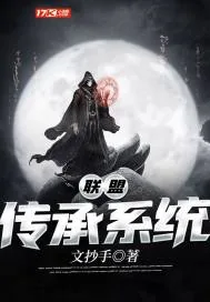 《联盟传承系统》封面