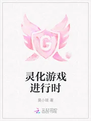 《灵化游戏进行时》封面
