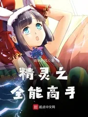 《精灵之全能高手》封面