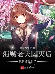 《海贼老大团灭后就只能我上了》封面