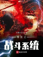 《精灵之战斗系统》封面