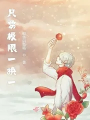 《只要极限一换一》封面