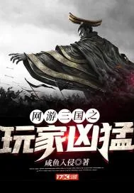 《网游三国之玩家凶猛》封面
