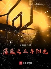 《灌篮之正午阳光》封面
