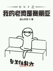 《DNF之我的老婆是赛丽亚》封面