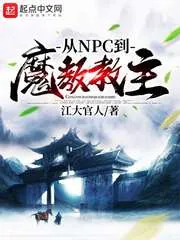 《从NPC到魔教教主》小说封面