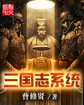 《三国志系统》封面