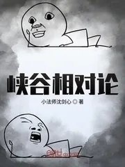 《峡谷相对论》小说封面