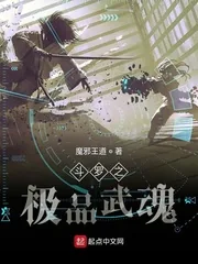 《斗罗之极品武魂》封面