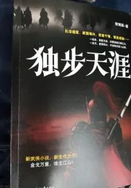 《独步天涯.》封面