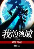 《我的领域》小说封面