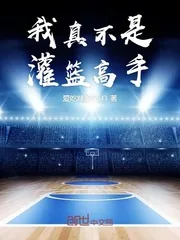 《我真不是灌篮高手》封面