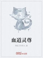 《血道灵尊》封面