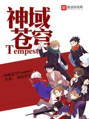 《神域苍穹Tempest》小说封面