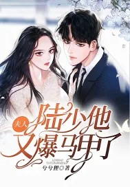 《夫人，陆少他又爆马甲了》封面