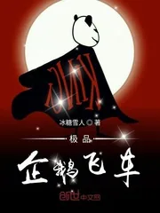 《极品企鹅飞车》封面