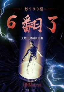 《一秒999棍6翻了》封面