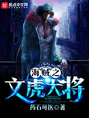 《海贼之文虎大将》封面
