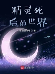 《精灵死后的世界》封面