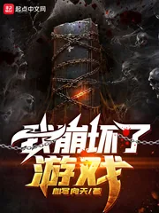《我崩坏了游戏》小说封面