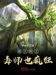 《疯人院之毒师也疯狂》小说封面