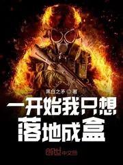 《一开始我只想落地成盒》封面