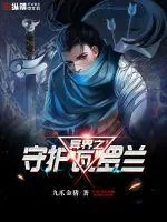 《异界之守护瓦罗兰》封面