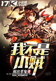 《我不是小贼》封面