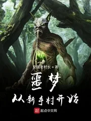 《噩梦从新手村开始》封面