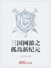 《三国网游之孤岛新纪元》封面